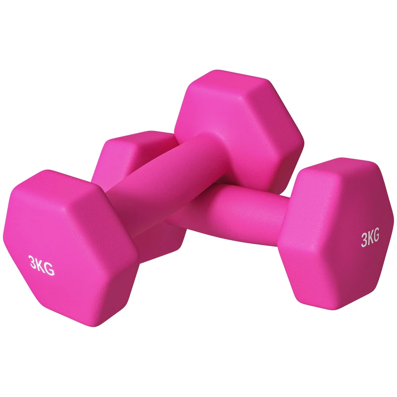 SPORTNOW Dumbbell Set of 2 Dumbbells with Weights Cast Iron 2 x 3 kg Dumbbells for Men and Women Dumbbell Set for Home Gym Strength Training