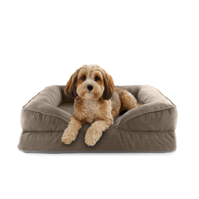 Lumaland Orthopaedic Dog Bed Made of Corduroy Ergonomic Dog Sofa 70 x 60 cm for Small Dogs Non-Slip Floor Filling and Cover Washable Dog Basket with Memory Foam