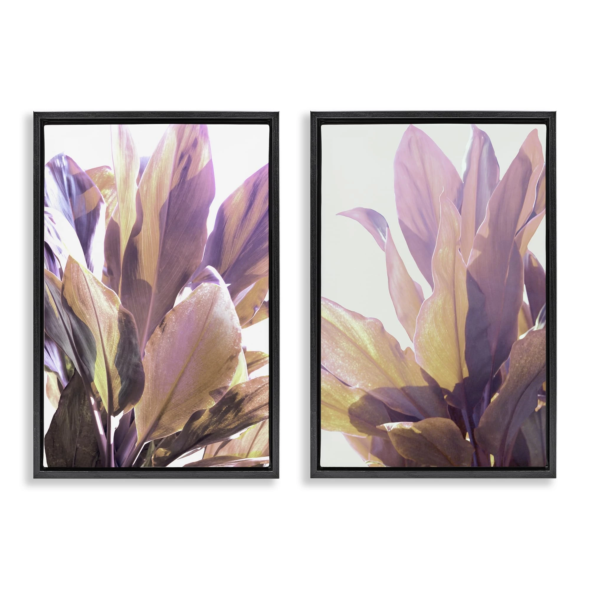 Stupell Industries Sunlit Tropical Leaves 2 Piece Black Framed Floater Canvas Set design by Gemma Bardot, 25 x 17