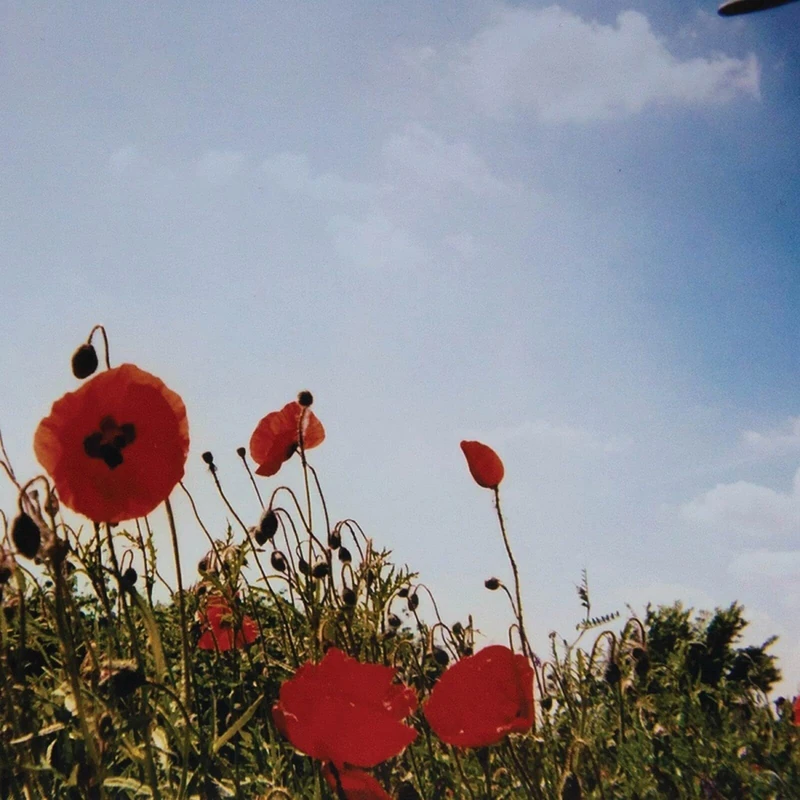 Bloem [VINYL] - Image 1