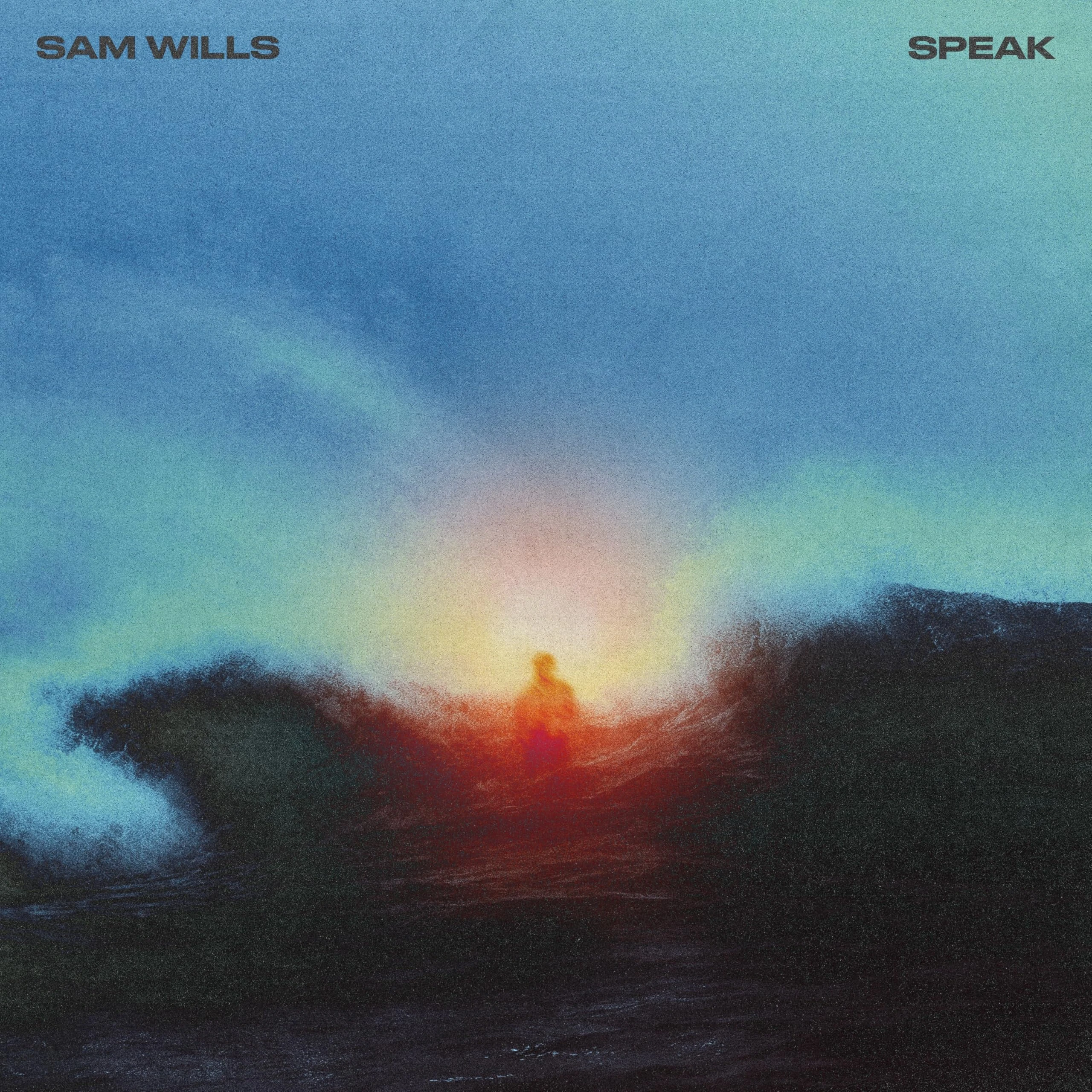 Speak [VINYL]