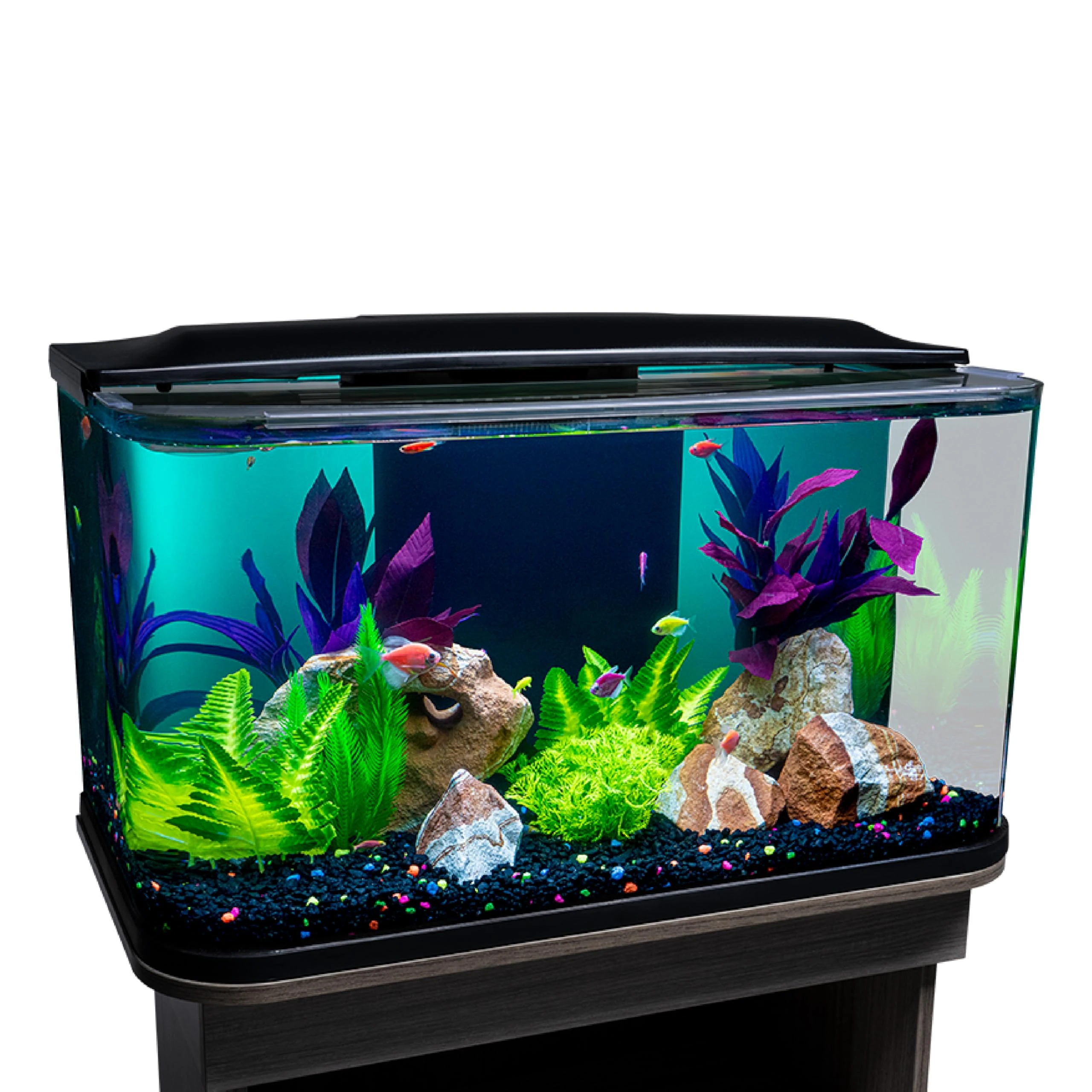 GloFish Glass Aquarium Kit, 20 Gallons, Includes Premium Blue, LED Light Stick & Integrated Filtration, Perfect for Beginners or Seasoned Hobbyists, Seamless, Curved Design