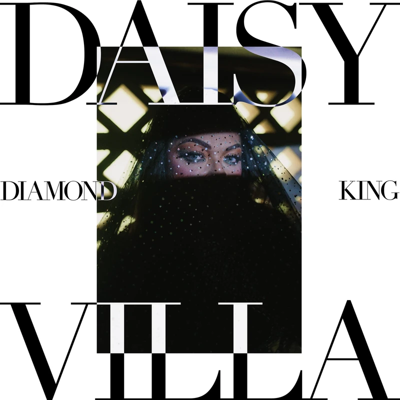 Diamond King [Vinyl LP] [VINYL]