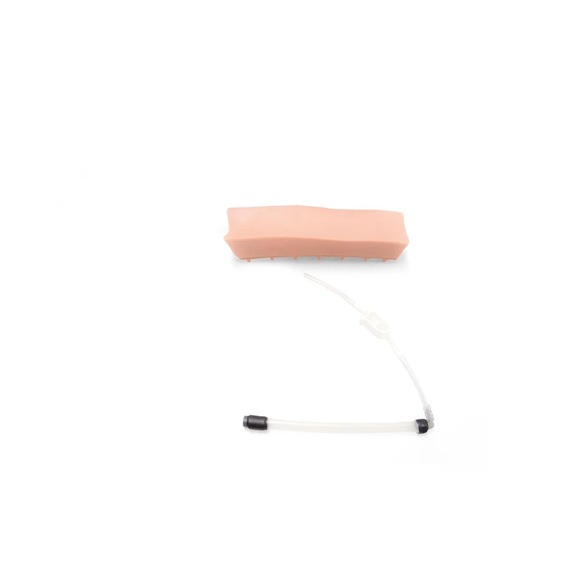 3B Scientific Geriatric LOR Insert for Epidural & Spinal Trainer P61