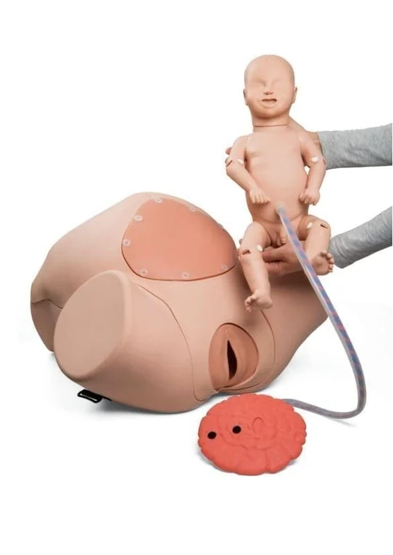 3B Scientific P90 Basic Birthing Simulator (Light Skin)