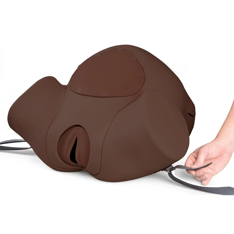3B Scientific Birthing Simulator P90 PRO – Female Lower Torso, Dark Skin Tone