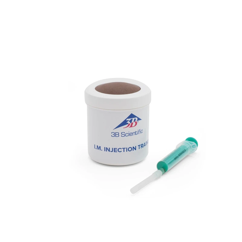 3B Scientific Intramuscular Injection Simulator P54D (Dark Skin)