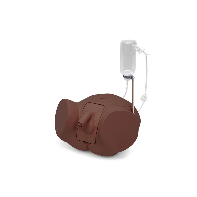 3B Scientific Catheterization Simulator PRO – Male, Dark Skin Tone
