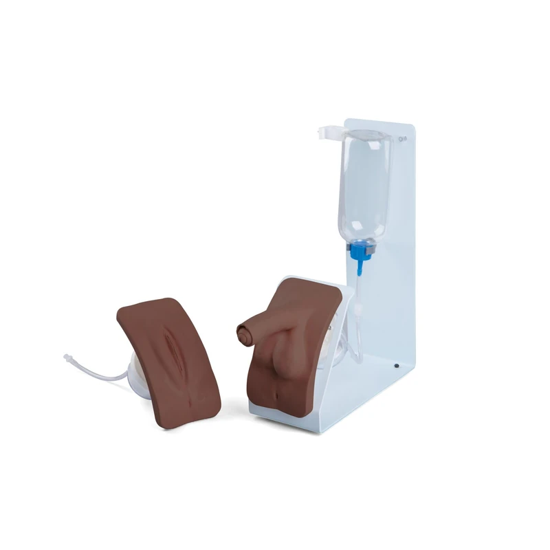 3B Scientific P93B‑SD Catheterization Simulator BASIC Set (Male & Female, Dark Skin)