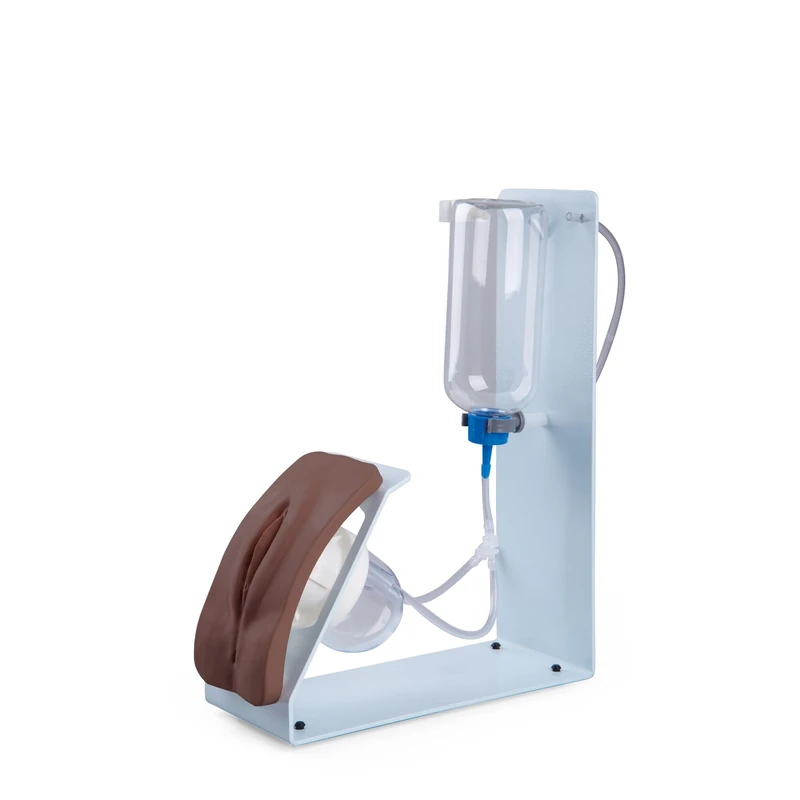 3B Scientific P93B‑FD Female Catheterization Simulator BASIC (Dark Skin)