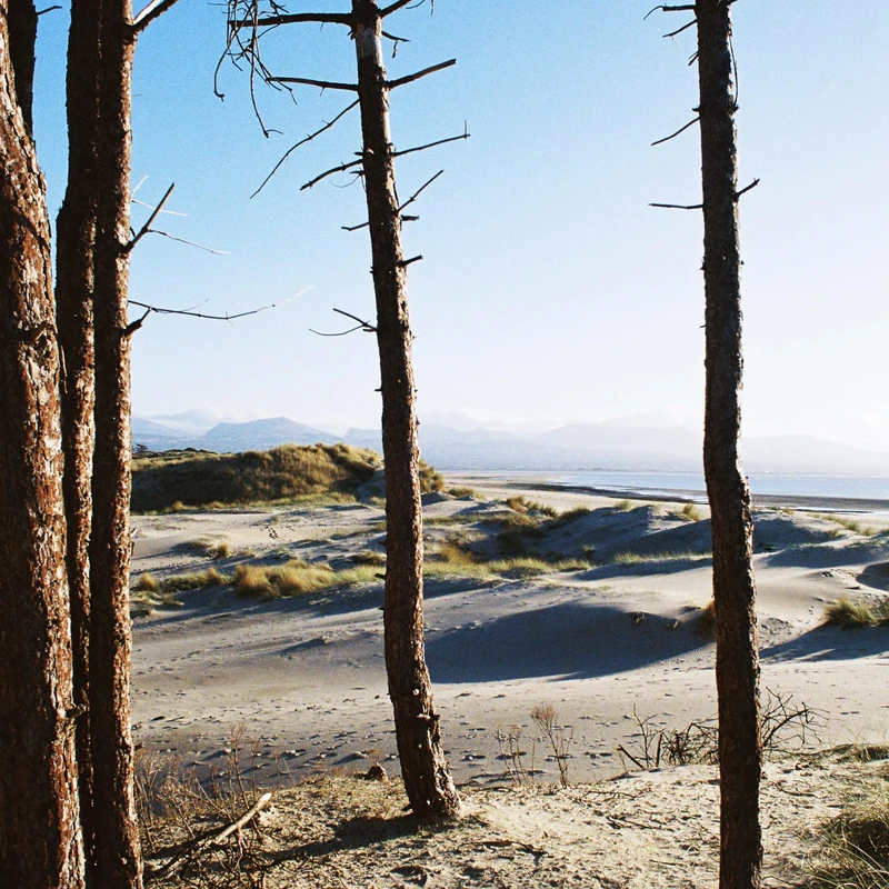 Getdown Services - Your Medal's In The Post / Primordial Slot Machine [VINYL]