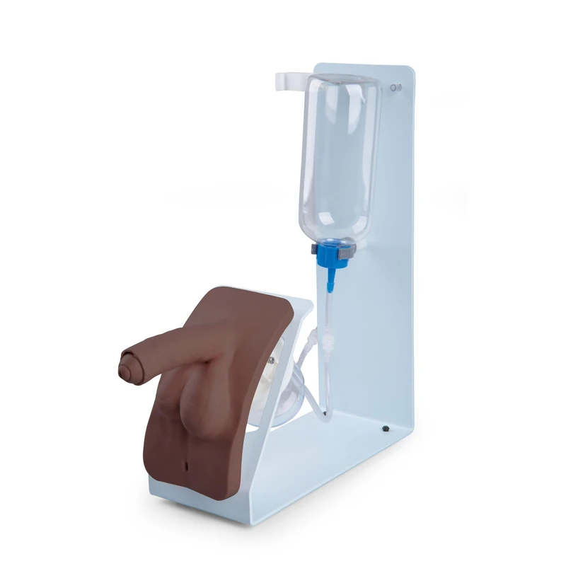 3B Scientific® Catheterization Simulator BASIC Male (Dark Skin) – Entry-Level Male Urinary Catheter Trainer, Durable & Replaceable Components