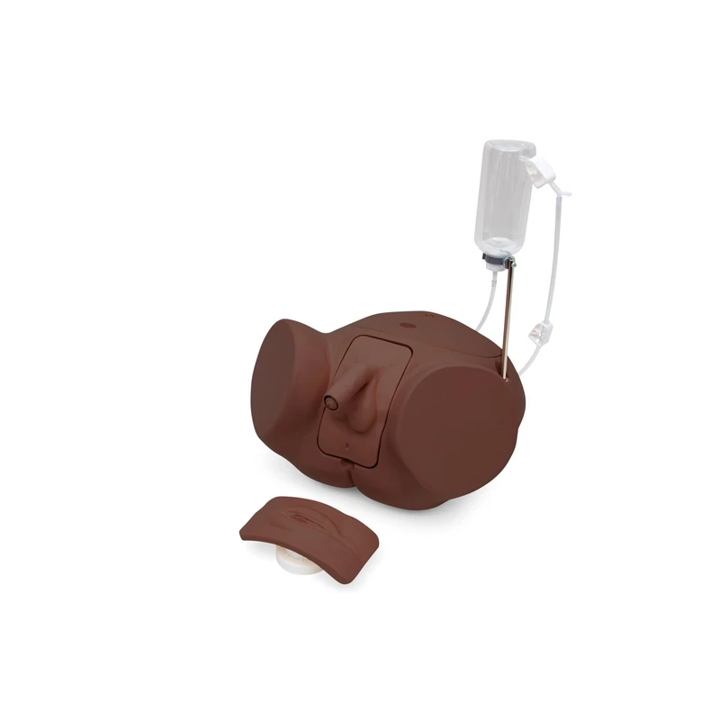3B Scientific Catheterization Simulator PRO Set - Dark Skin