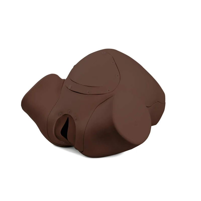3B Scientific® Birthing Simulator BASIC – Dark Skin Obstetric Training Simulator for Labor & Delivery Education, Modular & Durable Design