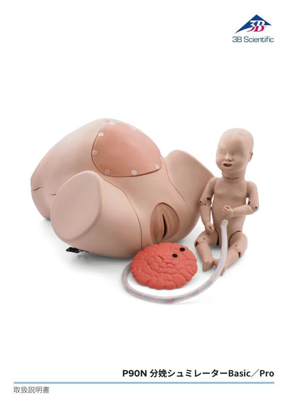 3B Scientific® Birth Canal & Cervix Teaching Set – Anatomical Obstetrics Model with Removable Canal & Cervix Inserts, Durable & Educational