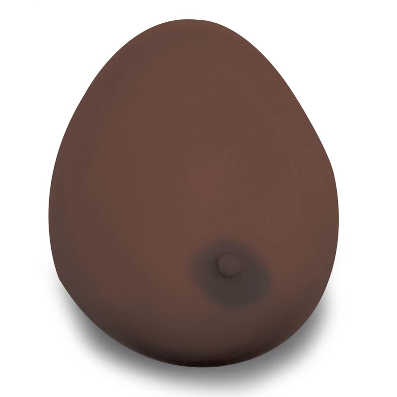 3B Scientific Breast Self-Examination Model – Three Individual Breasts on Base (Dark Skin)