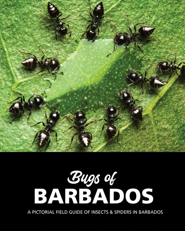 Bugs of Barbados: A Pictorial Field Guide Of Insects & Spiders In Barbados