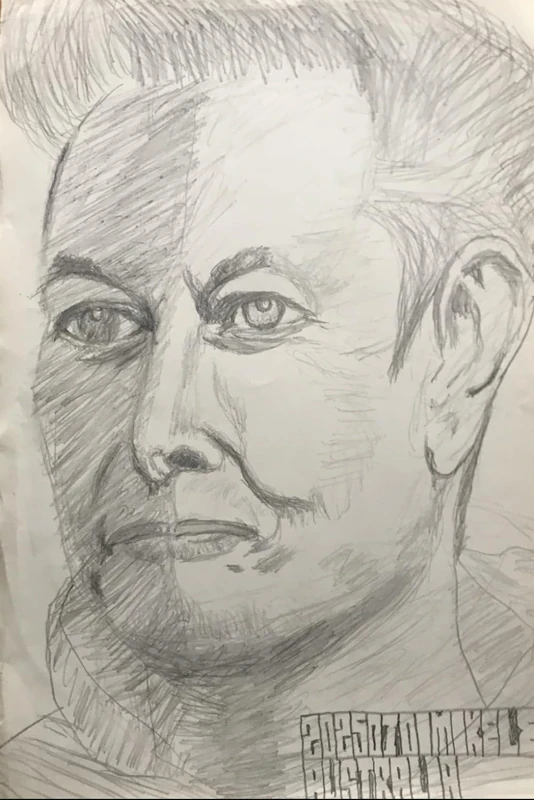 True or fake Elon Musk: 真假马斯克