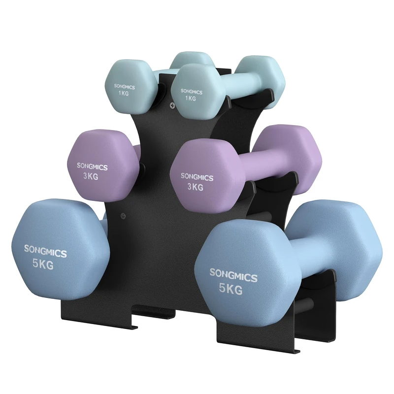 SONGMICS Hex Dumbbells Set with Stand - 2 x 1 kg, 2 x 3 kg, 2 x 5 kg, Neoprene Matte Finish, Hand Weights for Home Exercise, Aqua, Ash Purple, and Pale Blue SYL618PZ02