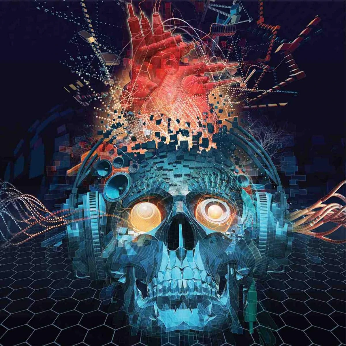 The Connection [VINYL]