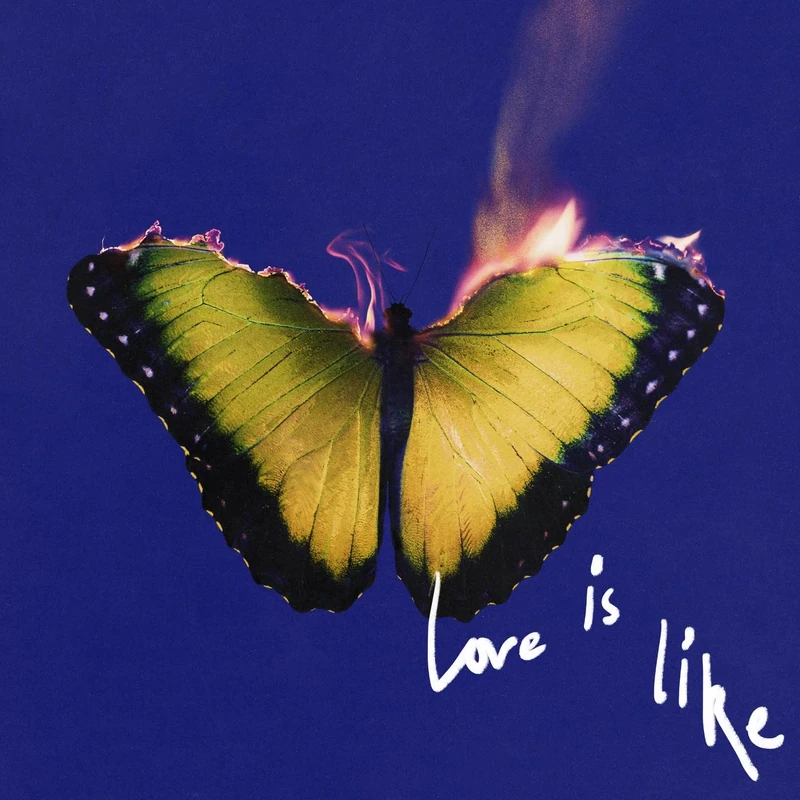 Love Is Like [Clean]