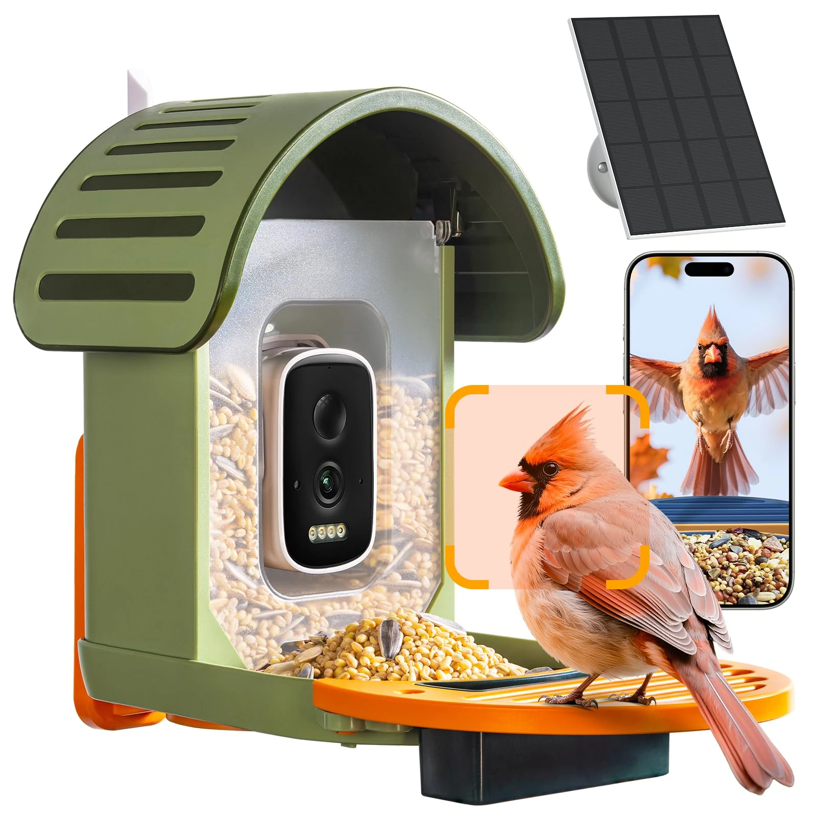 WLNYUGS Smart Bird Feeder with Camera, 2.5K UHD Bird Feeder Camera Solar Powerd, Sensitive AI Identification, Instant Alerts Capture Video, IP66 Waterproof for Outdoor, Ideal Gift, Green