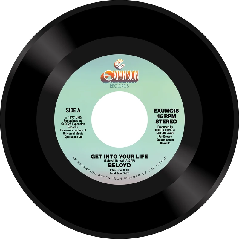 The Orchard Get Into Your Life - Bernard Taylor Vinyl Record - Image 1