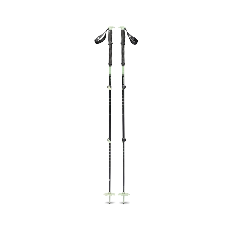 Black Diamond Unisex - Adult Expedition 3 Ski Poles, Desert Sage, 90-125cm