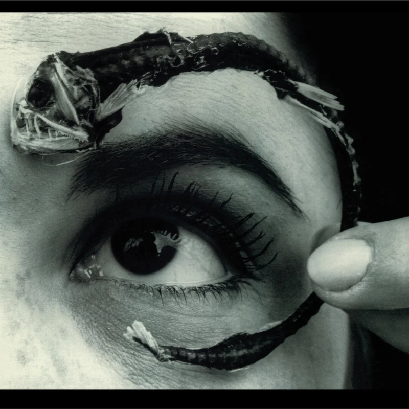 Disco Volante [VINYL]