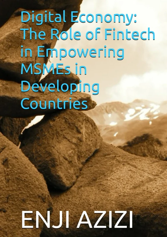 Digital Economy: The Role of Fintech in Empowering MSMEs in Developing Countries