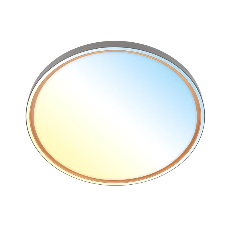 BRILONER - LED Ceiling Light with Remote Control, dimmable, CCT Warm to Cold White, Ceiling Lights Living Room, Bedroom, Lounge, 49 x 6.5 cm, Anthracite