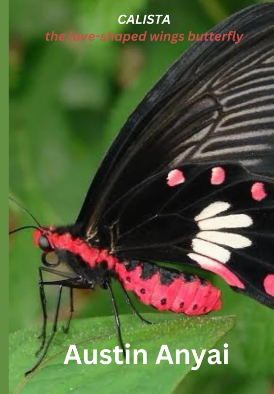 CALISTA, THE LOVE SHAPED WINGS BUTTERFLY - Image 1