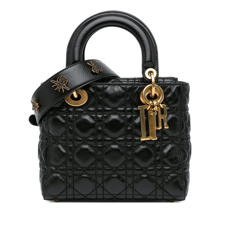 Dior Pre-Loved Small Crinkled Patent Cannage My ABCDior Lady