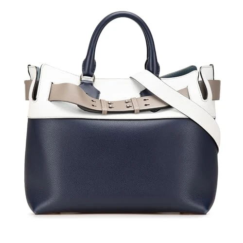 BURBERRY Pre-Loved Medium Tricolor Leather Marais Belt Bag