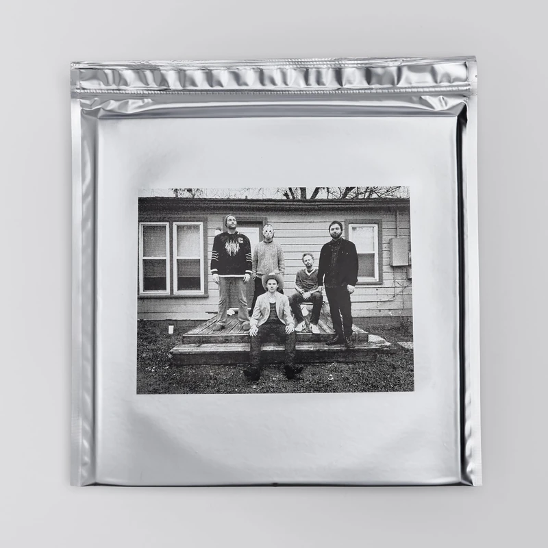 In The Earth Again - Vinyle 180 Gr Deluxe [VINYL]