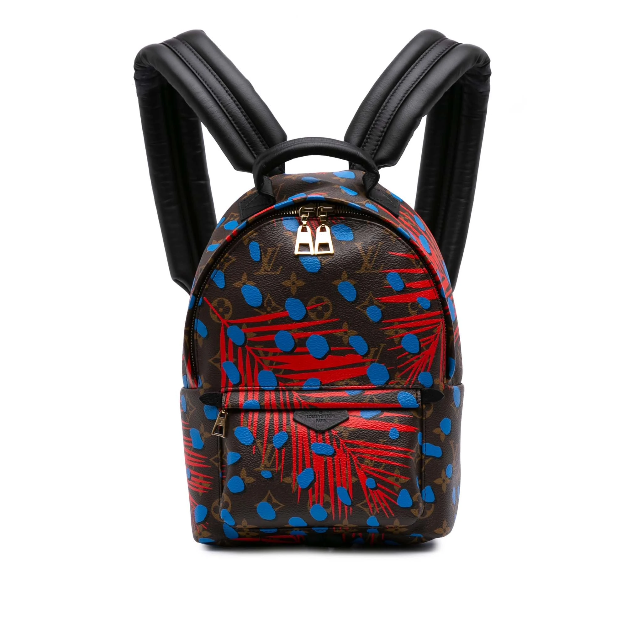 Louis Vuitton Pre-Loved Monogram Jungle Dots Palm Springs PM Backpack