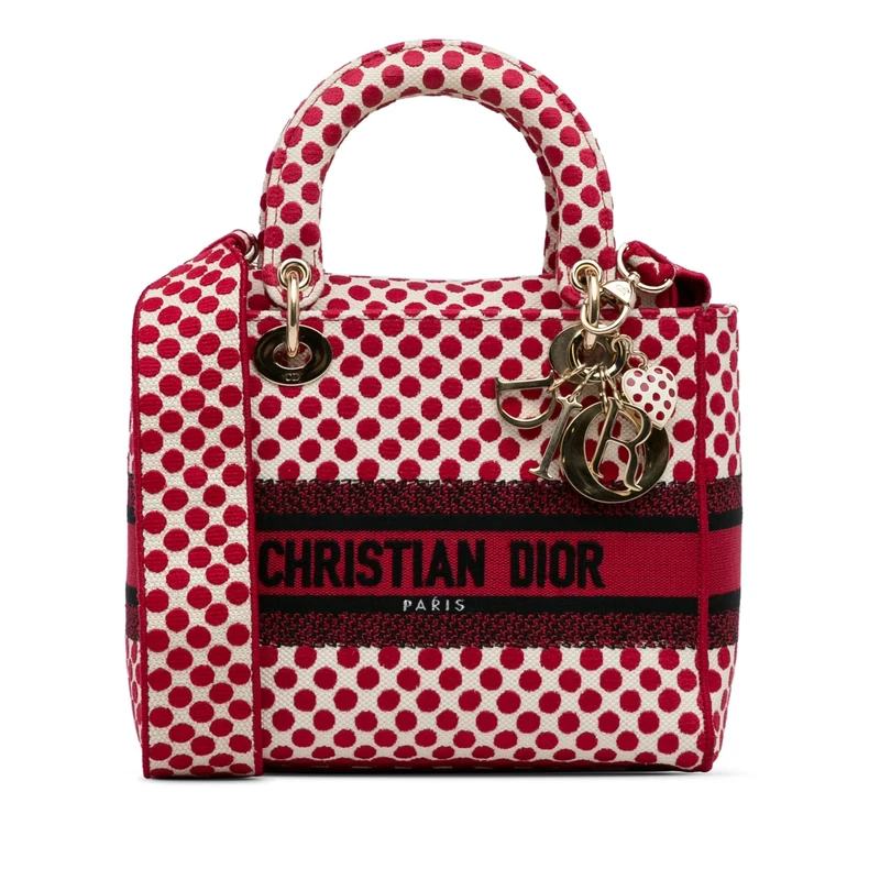 Dior Pre-Loved Dioramour Medium Embroidered Canvas Dots Lady D Lite Handbag