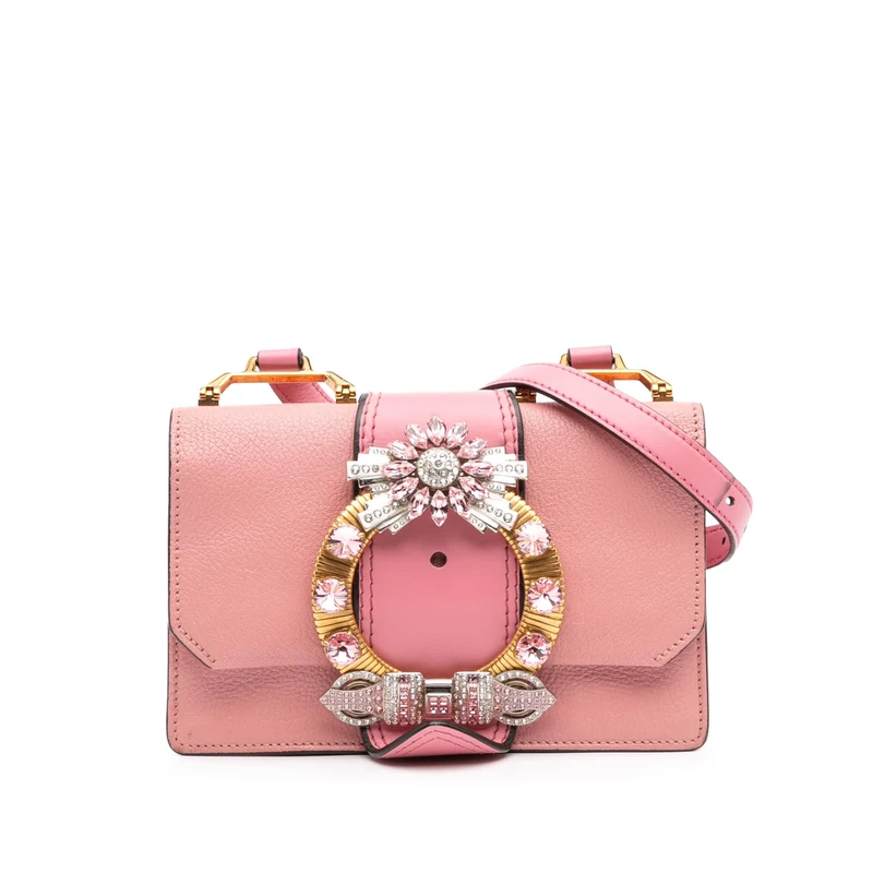 Pre-Loved Goatskin Madras Soft Calf Crystal Embellished Crossbody Bag