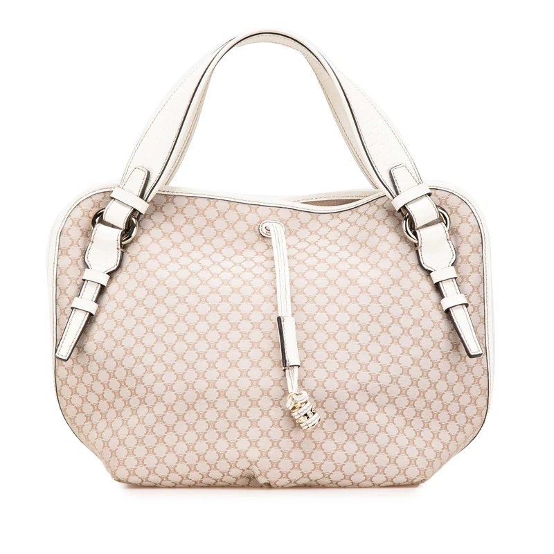 Pre-Loved Macadam Canvas Bittersweet Handbag