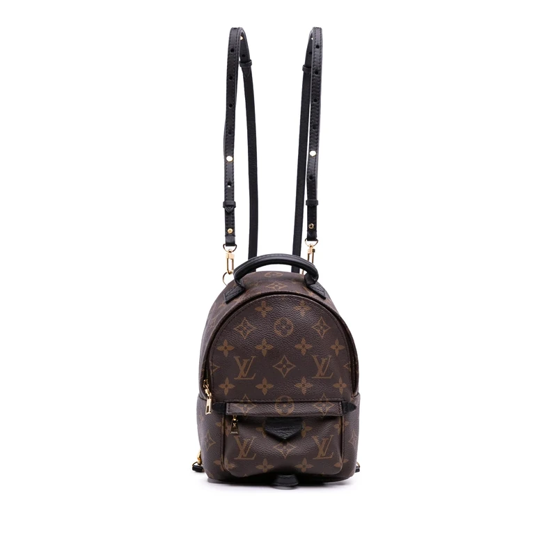 Louis Vuitton Pre-Loved Monogram Mini Palm Springs