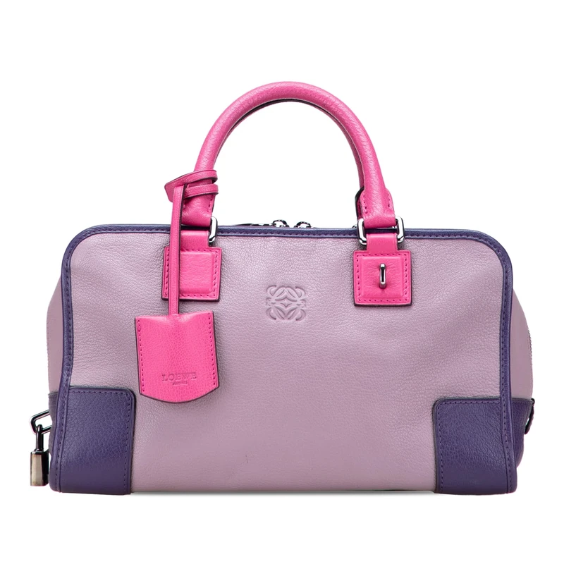 LOEWE Pre-Loved Tricolor Goatskin Amazona 28 Handbag