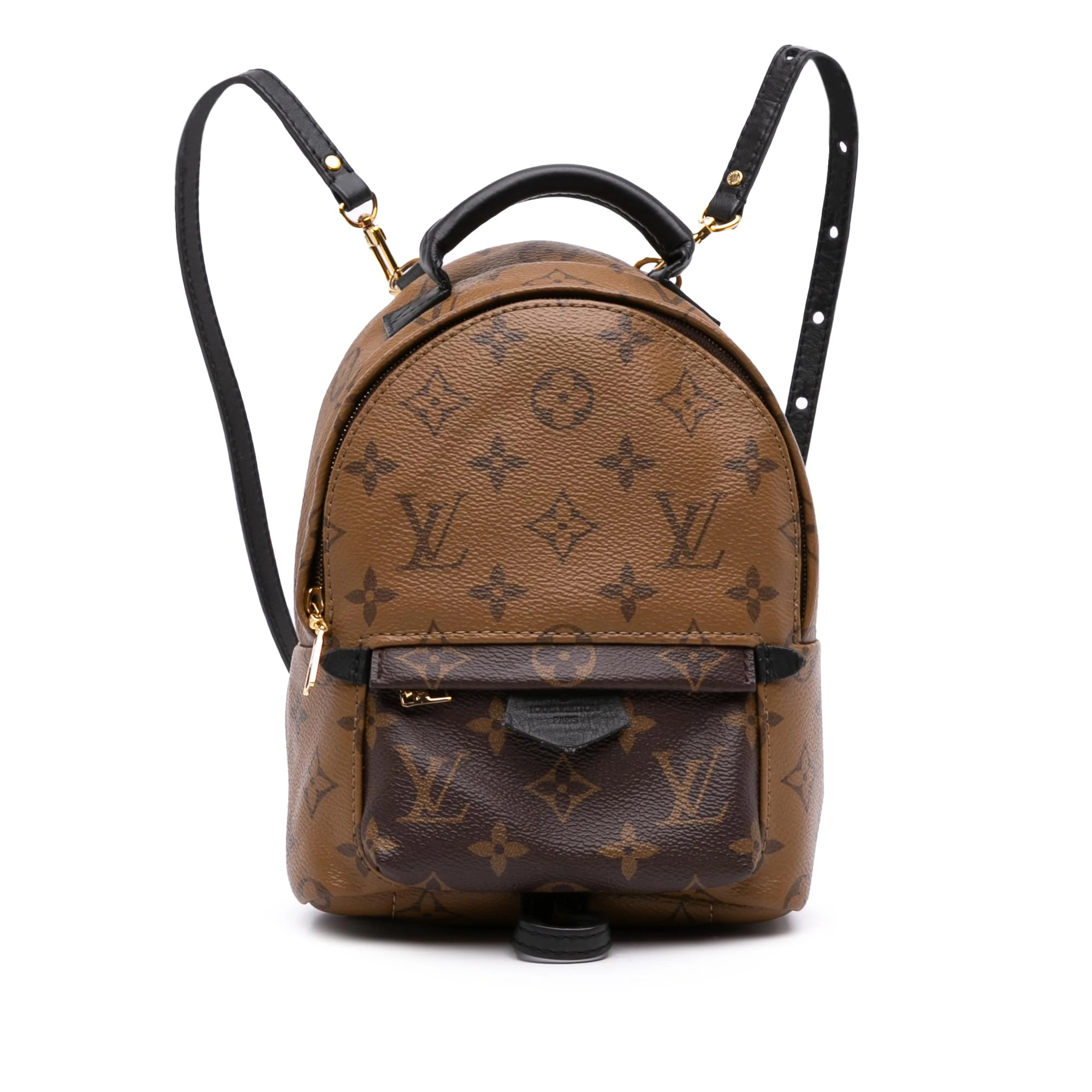 Louis Vuitton Pre-Loved Monogram Reverse Mini Palm Springs Backpack