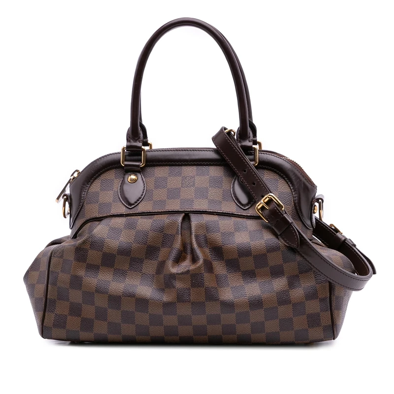 Louis Vuitton Pre-Loved Damier Ebene Trevi PM Handbag