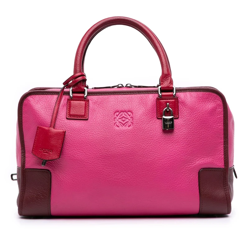 LOEWE Pre-Loved Tricolor Goatskin Amazona 36