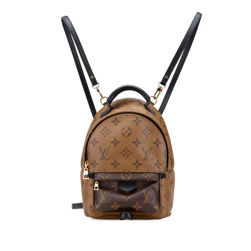 Louis Vuitton Pre-Loved Monogram Reverse Mini Palm Springs Backpack