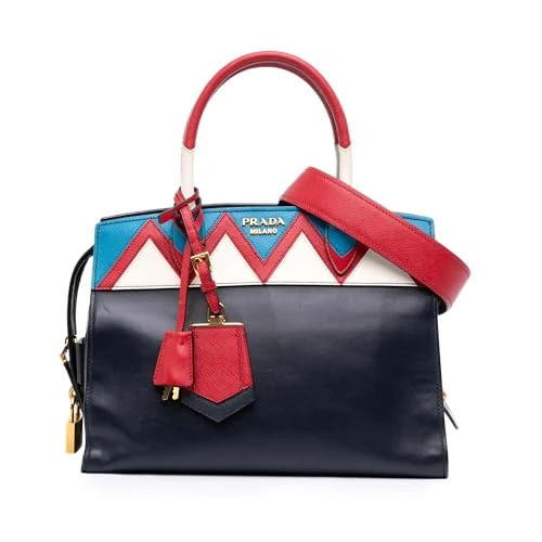 Pre-Loved Medium Saffiano Trimmed City Calf Greca Esplanade Satchel