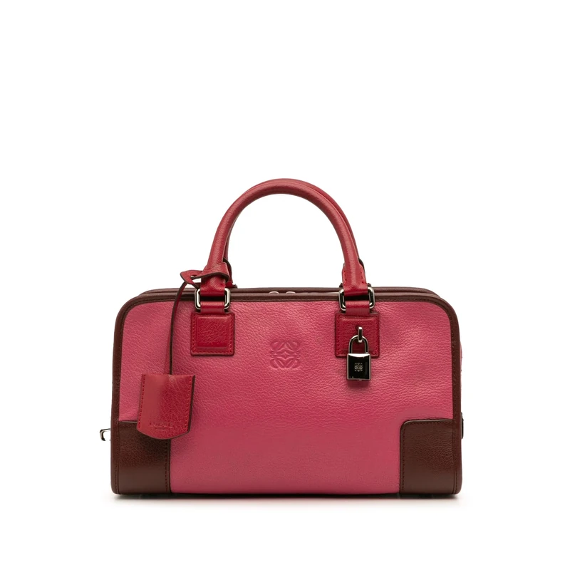 LOEWE Pre-Loved Tricolor Goatskin Amazona 28