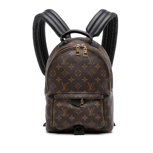 Louis Vuitton Pre-Loved Monogram Palm Springs PM Backpack