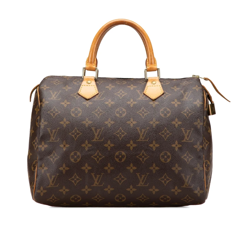 Louis Vuitton Pre-Loved Monogram Speedy 30 Handbag