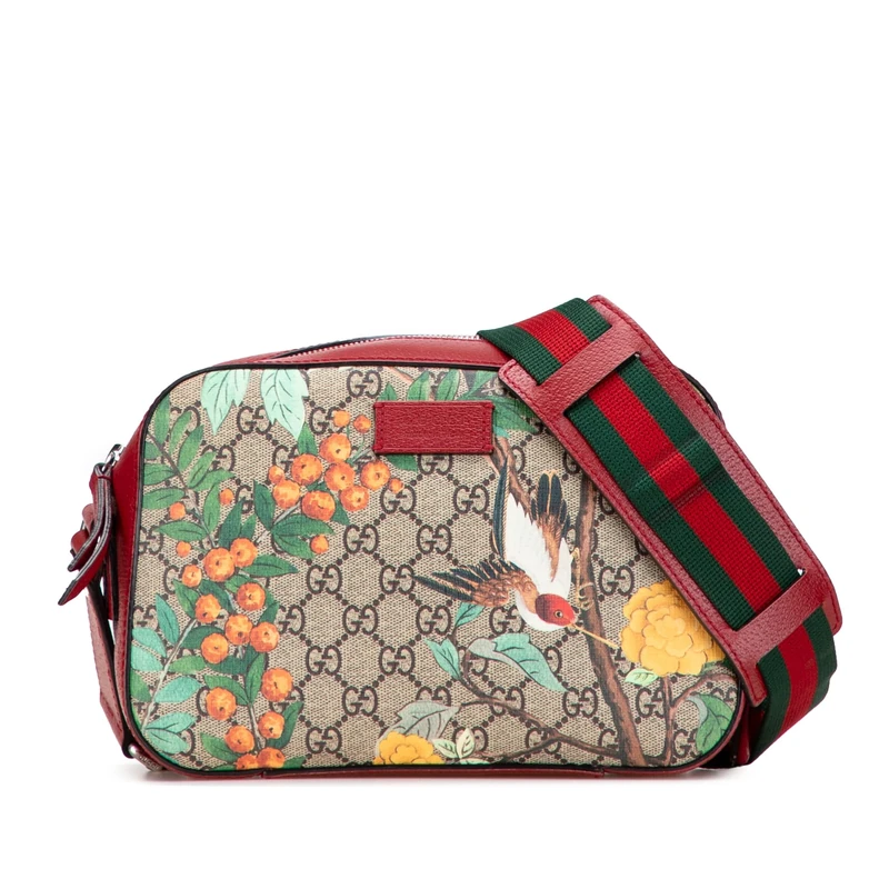 Gucci Pre-Loved GG Supreme Tian Crossbody Bag